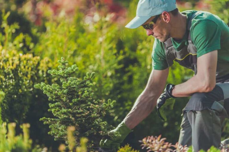 Man landscaping garden