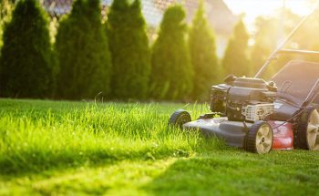 Lawnmower trimming grass