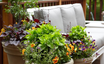 Planters and urns displayed in front of garden patio