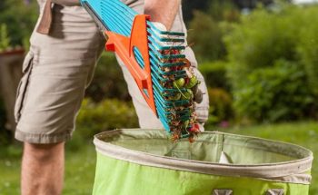 Gardener performing lawn maintenance duties